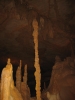 PICTURES/Cathedral Caverns/t_Cathedral Caverns - Column.JPG
